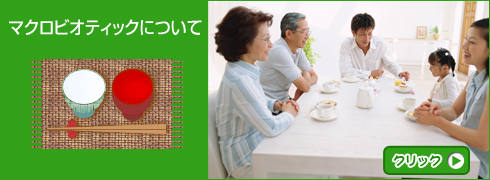�ޥ����ӥ��ƥ��å��ˤĤ���