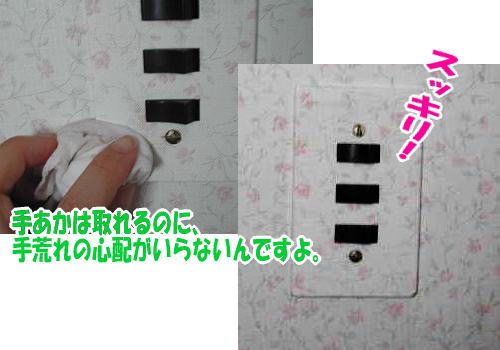 スイッチの手垢は【超電水クリーンシュシュ】で。